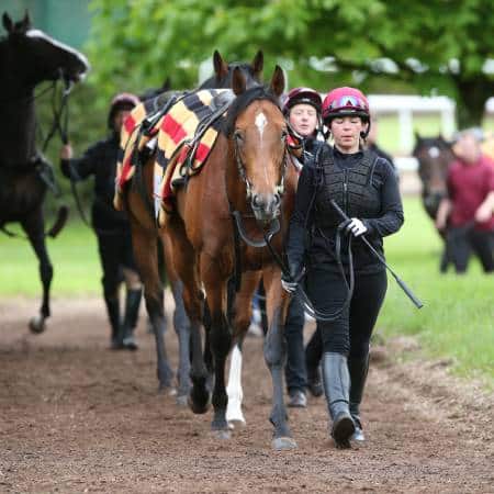 thoroughbred instagram