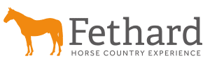 Fethard Horse Country Experience