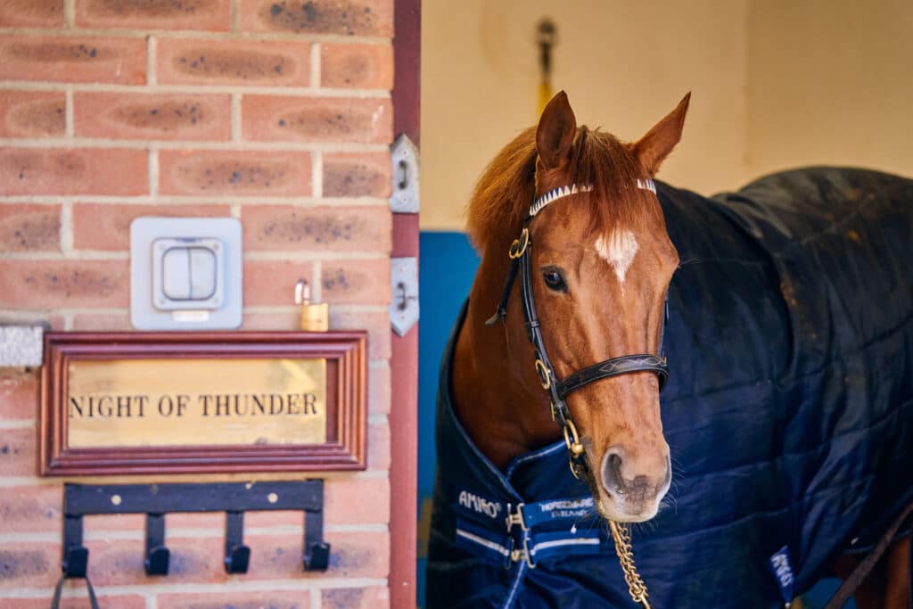 Night of Thunder in his stable at Kildangan Stud, Monasterevin, Co Kildare