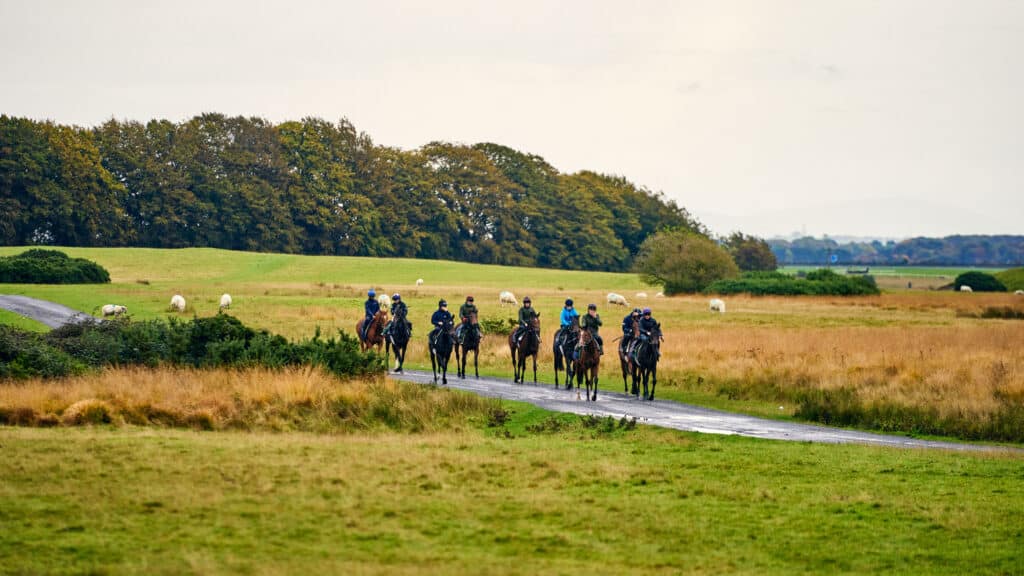 Top 6 Horse Riding Experiences for Christmas and New Year in Ireland