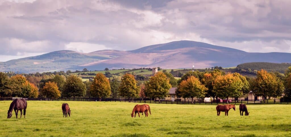 Best time to visit Ireland