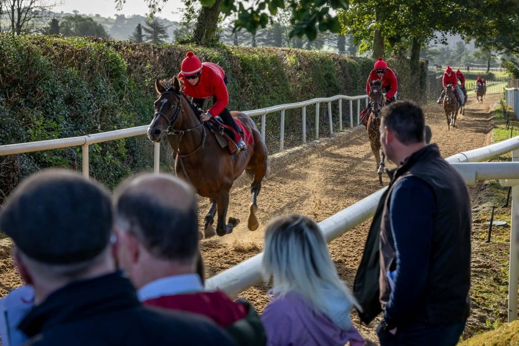 Jessica Harrington yard at Commonstown Stables, Co Kildare