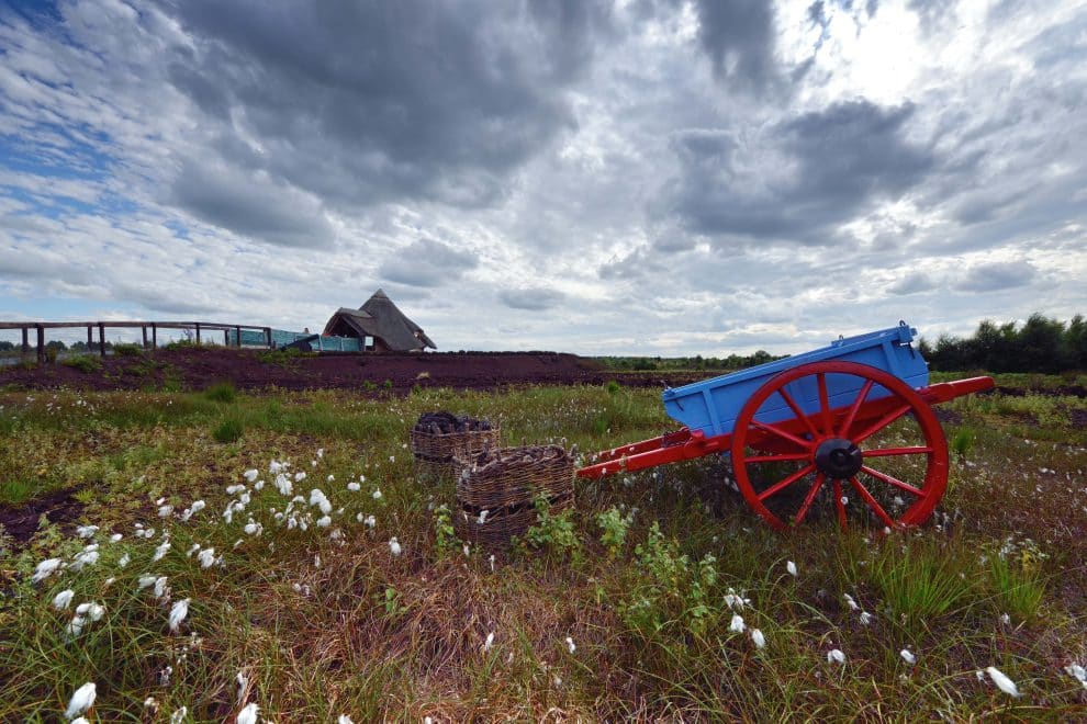 Peatlands Exhibition Lullymore Heritage Park