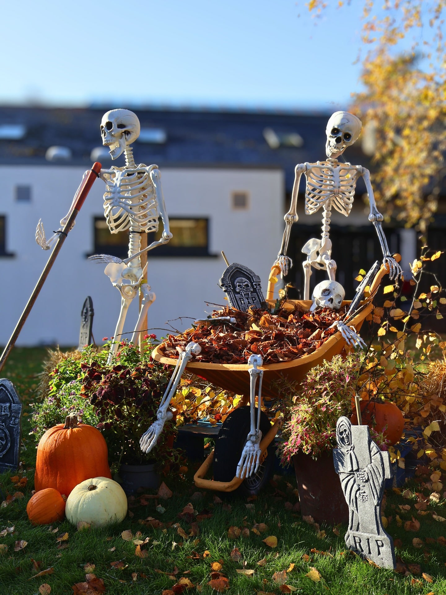 Halloween display with pumpkins in Ireland's Horse Country
