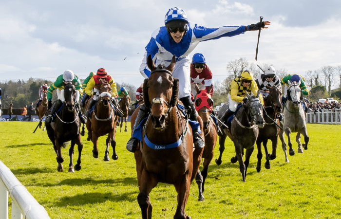 fairyhouse racecourse